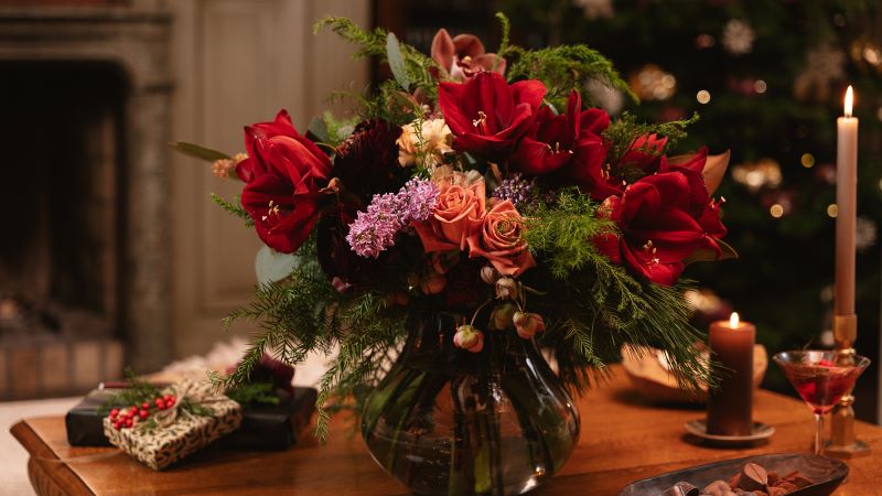 Fiori natalizi bellissimi