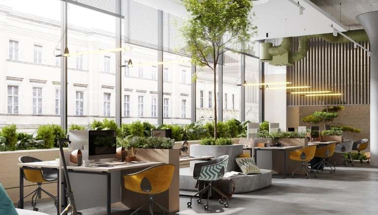 Piante da ufficio resistenti 