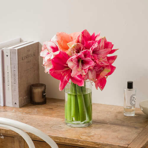 Bouquet di Amaryllis rosa e arancio in un vaso cilindrico su una scrivania in legno accanto a libri di design e una candela