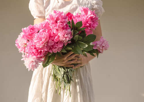 bouquet peonie rosa
