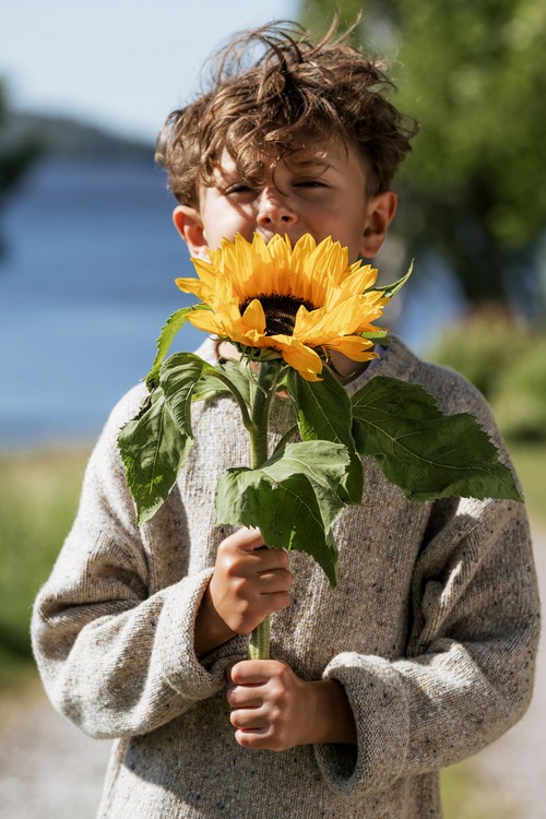 bambino con girasole in mano
