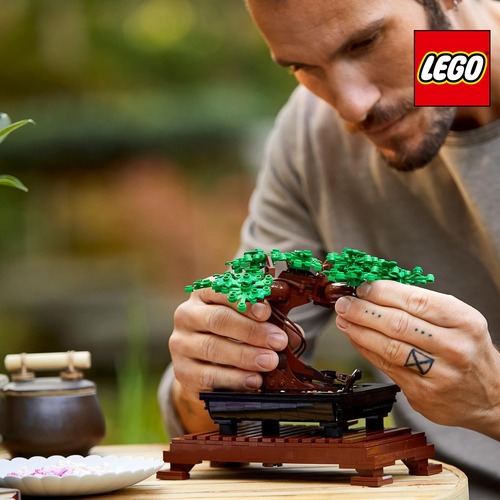 Ragazzo che sistema il suo bonsai di fiori Lego