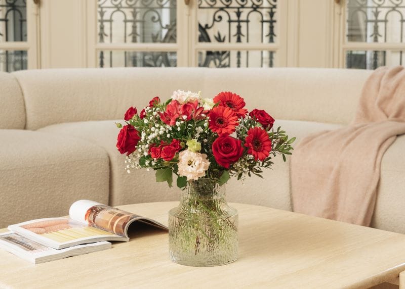 Quali sono le migliori piante da regalare a San Valentino?